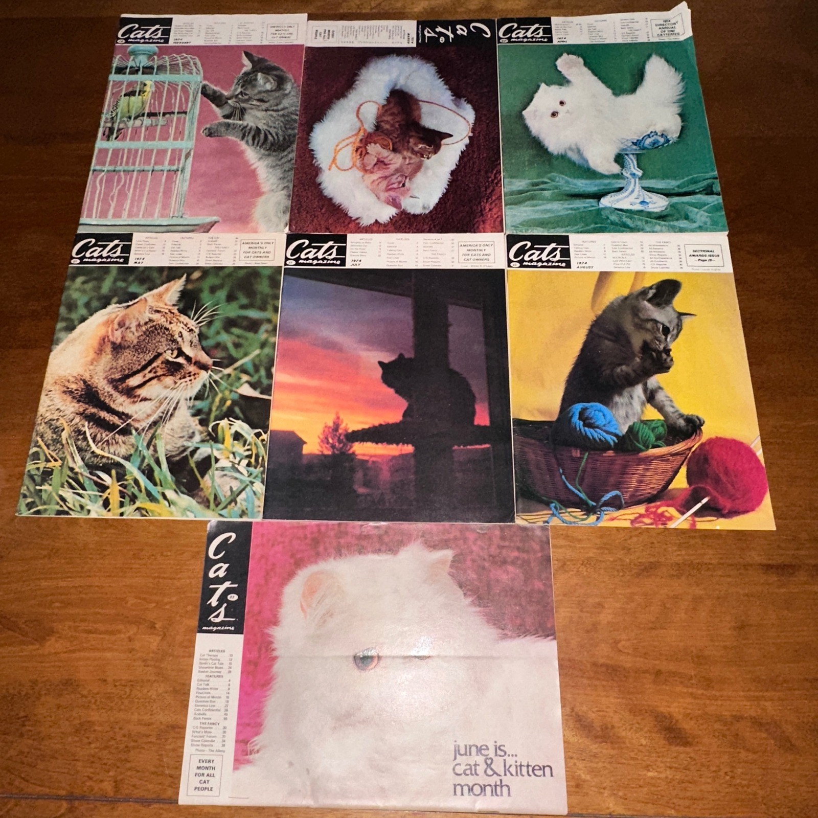 Vintage 1974 Cats Magazine Lot of 7 Plus 1972 Bonus Issue Retro Ephemera Vintage 1974 Cats Magazine Lot of 7 Plus 1972 Bonus Issue Retro Ephemera