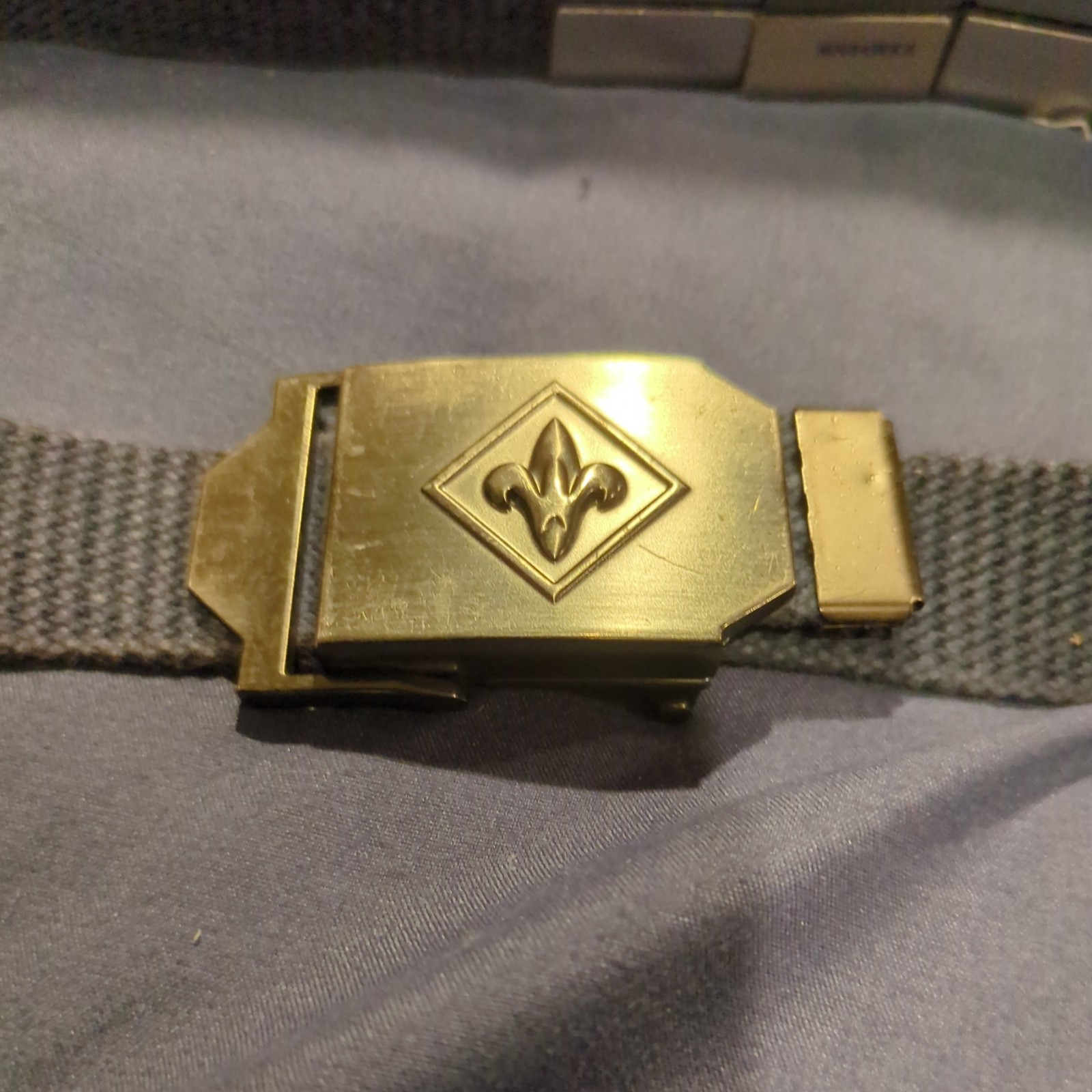 Vintage Boy Scouts of America Cub Scout Web Belt with Metal Belt Loop Badges