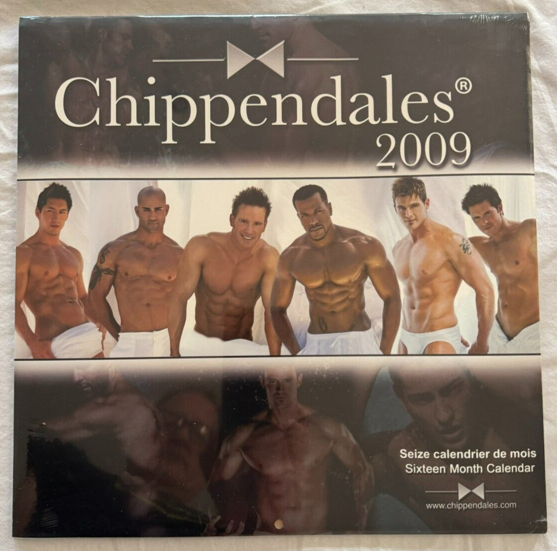 Chippendales 2009 Calendar Sixteen Month Calendar NEW/Factory Sealed