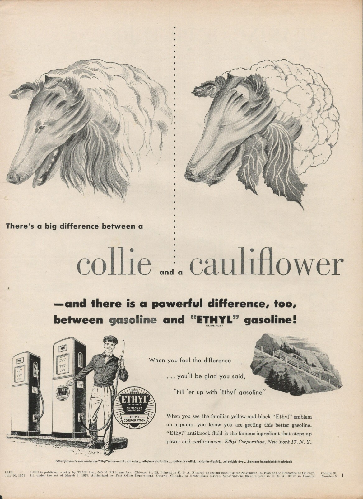1951 Oil Gas Ethyl Pump Vintage Print Ad 50s Collie Dog Cauliflower Vegetable