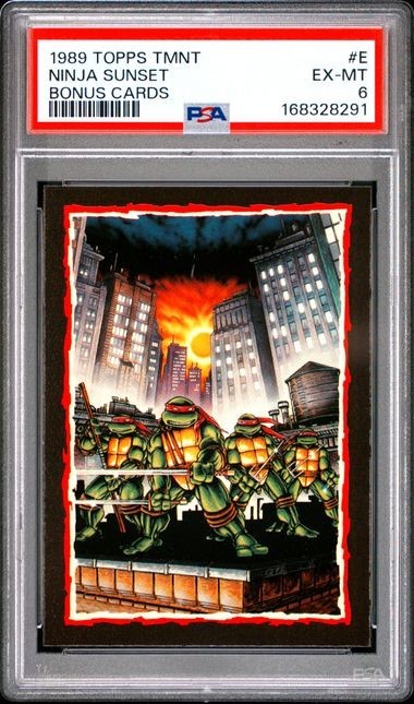 1989 Topps TMNT #E Ninja Sunset : Collector's Edition Bonus Cards PSA 6