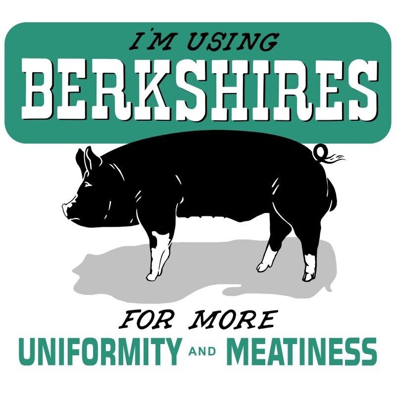 Berkshire Hogs for Uniformity & Meatiness NEW Metal Sign 40\