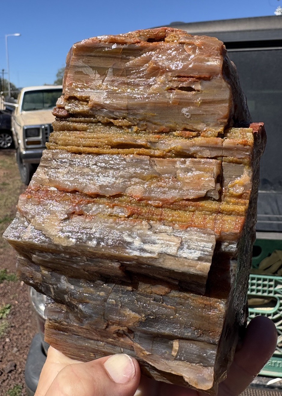 ☘️RR⛏️: Top Quality Agate/Druzy Arizona Petrified Wood, 3.75 Lb 🌈