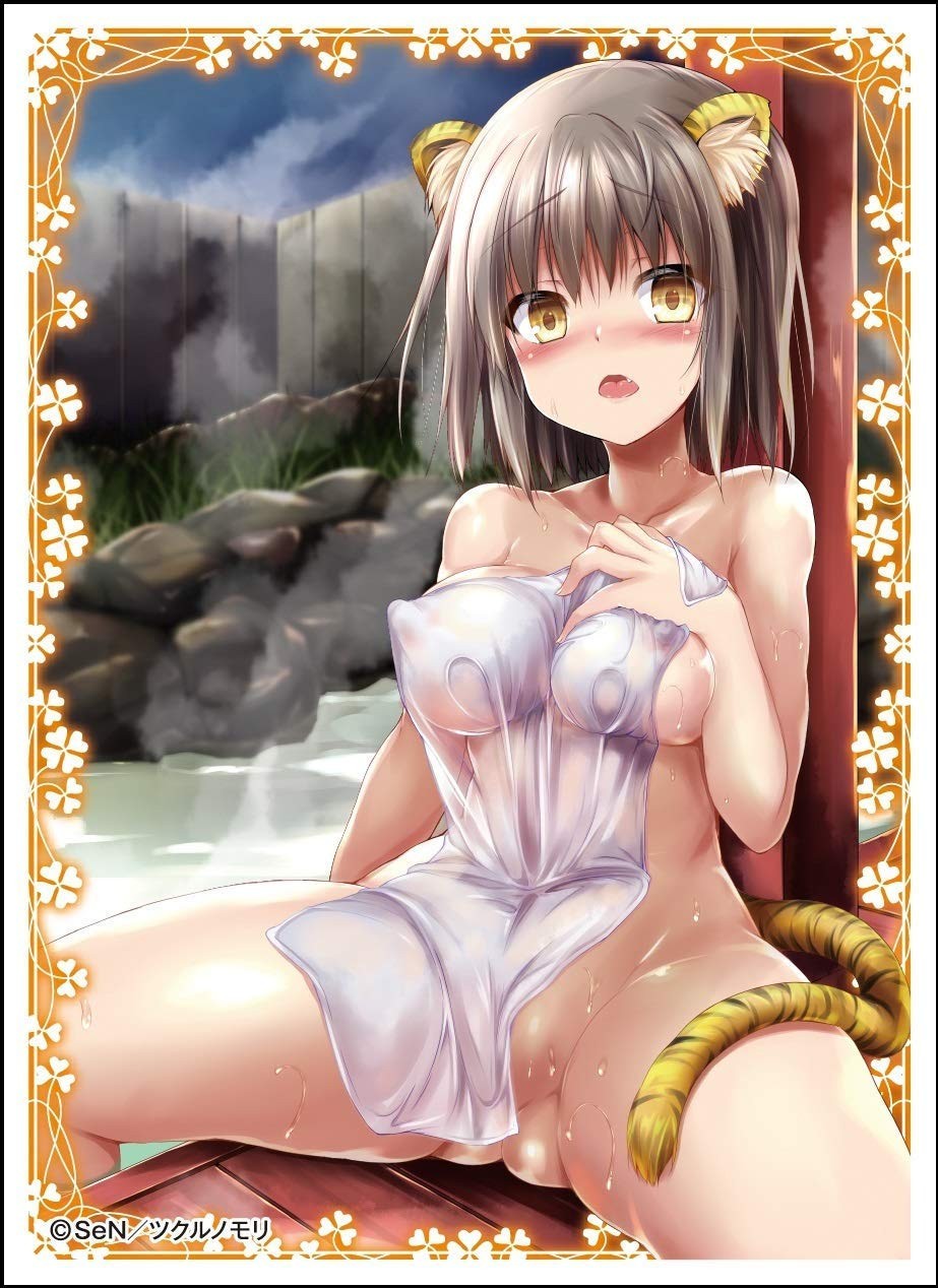 Character Sleeve Creators Collection SeN EN-906
