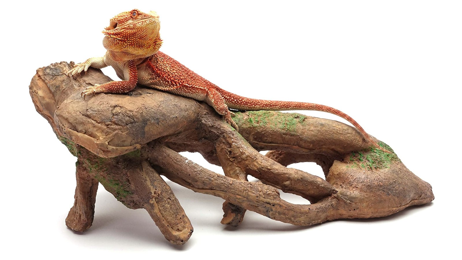 Gnarled Large Root, Brown, Reptile Habitat Accessory Gnarled Large Root, Brown, Reptile Habitat Accessory