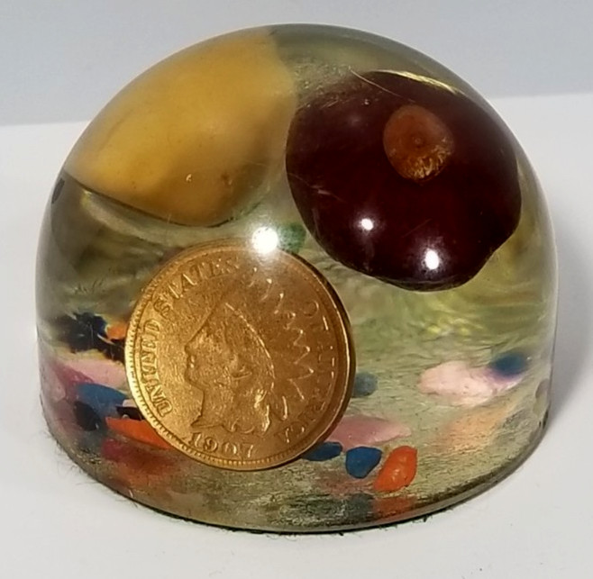 Lucite Ohio paperweight varners service antwerp 1907 Indian penny Buckeye vtg