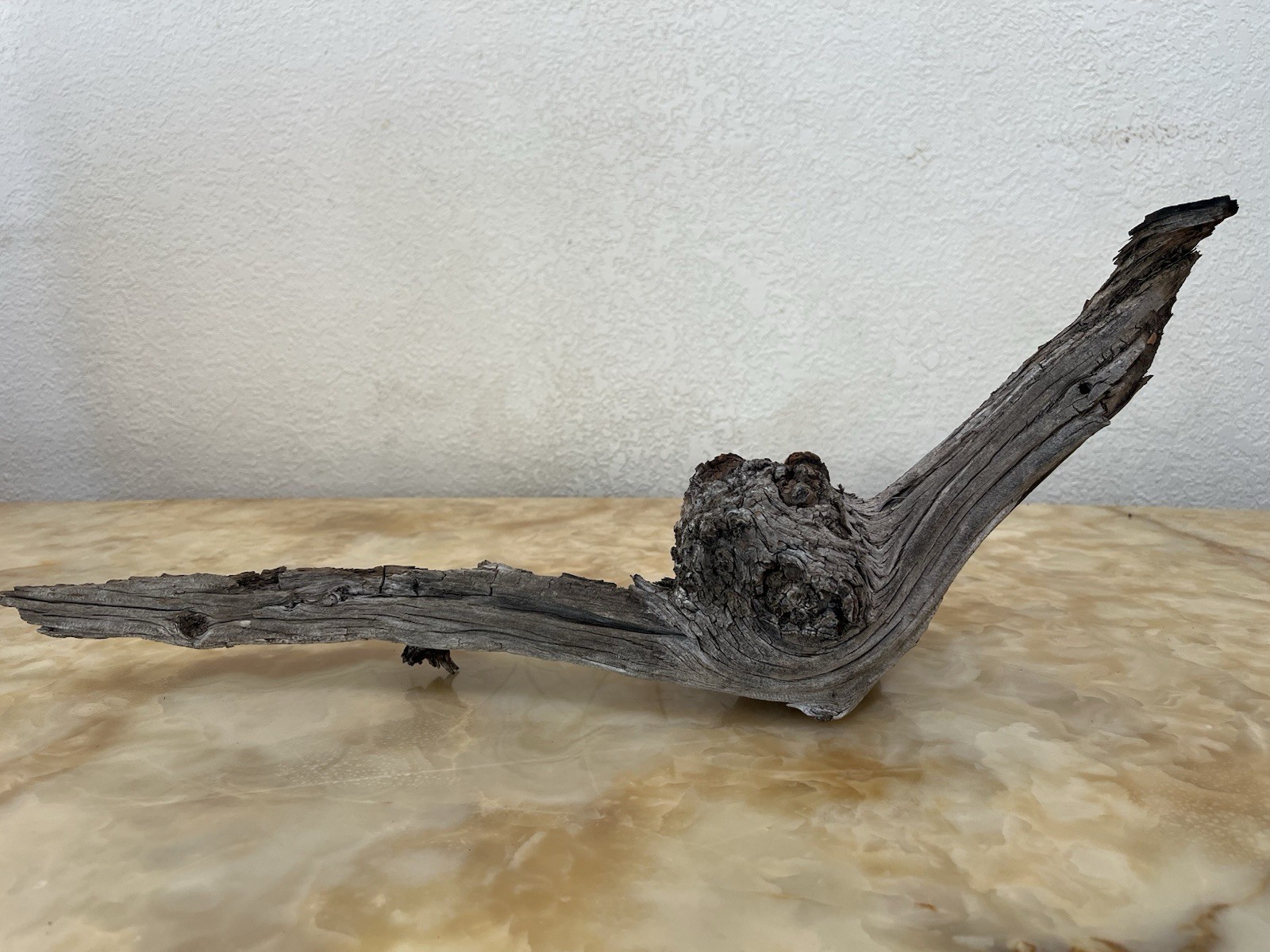 Ancient 1854 Big Burn Weathered Conifer Heartwood Burl Knot Sculpture Specimen