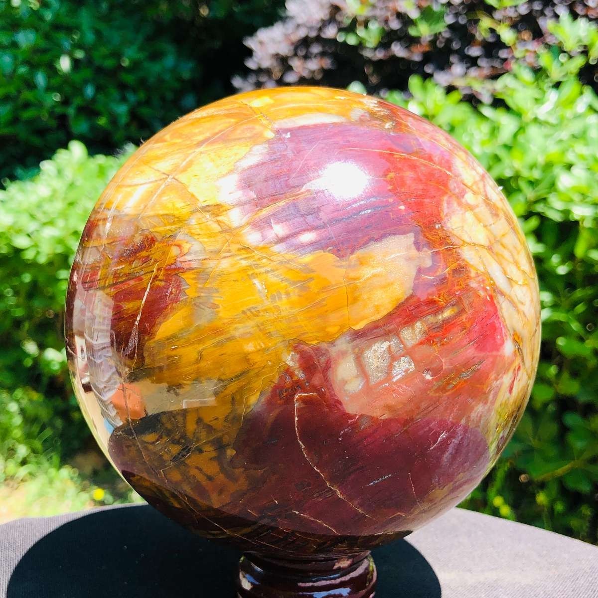6.86LB Large Natural Petrified Wood Crystal Fossil ball Specimen Healing