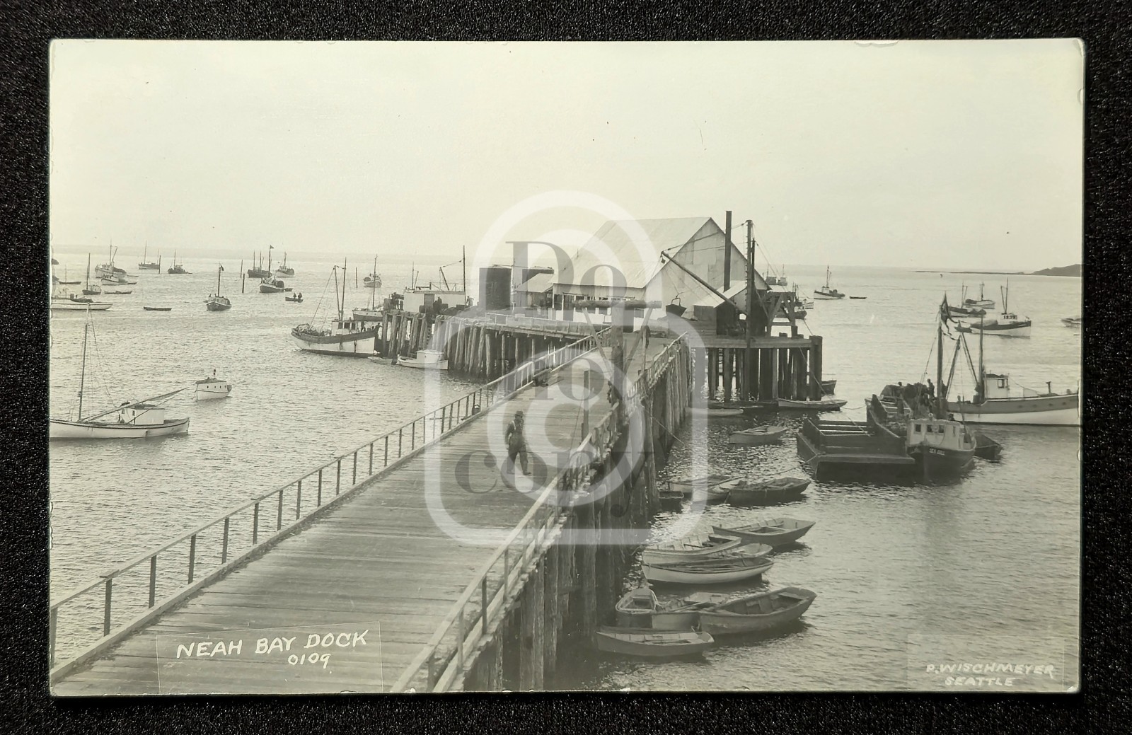 Rare RPPC Neah Bay Dock. Moclips Washington. C 1909 Clallam Co. Wischmeyer