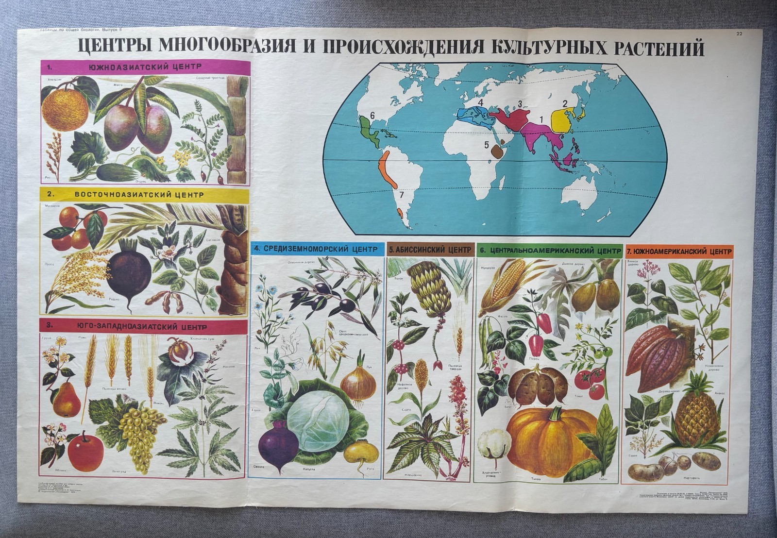 Vintage Soviet Biology Wall Chart Centers of Origin Cultivated Plants Vavilov 78