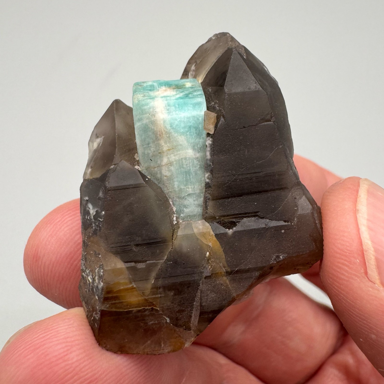 Smoky Quartz, Amazonite Cluster from Colorado - Fine Mineral Specimen