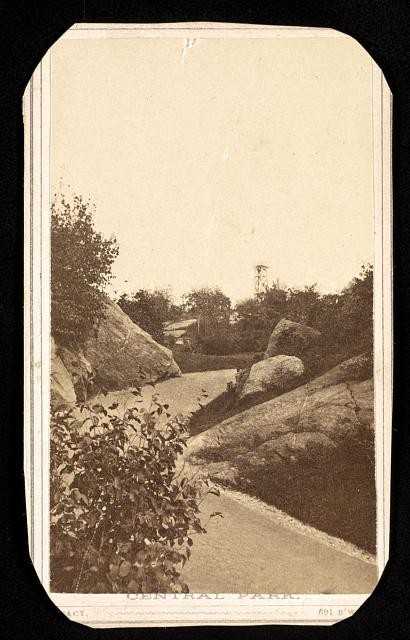 Photo:Central Park [New York City]