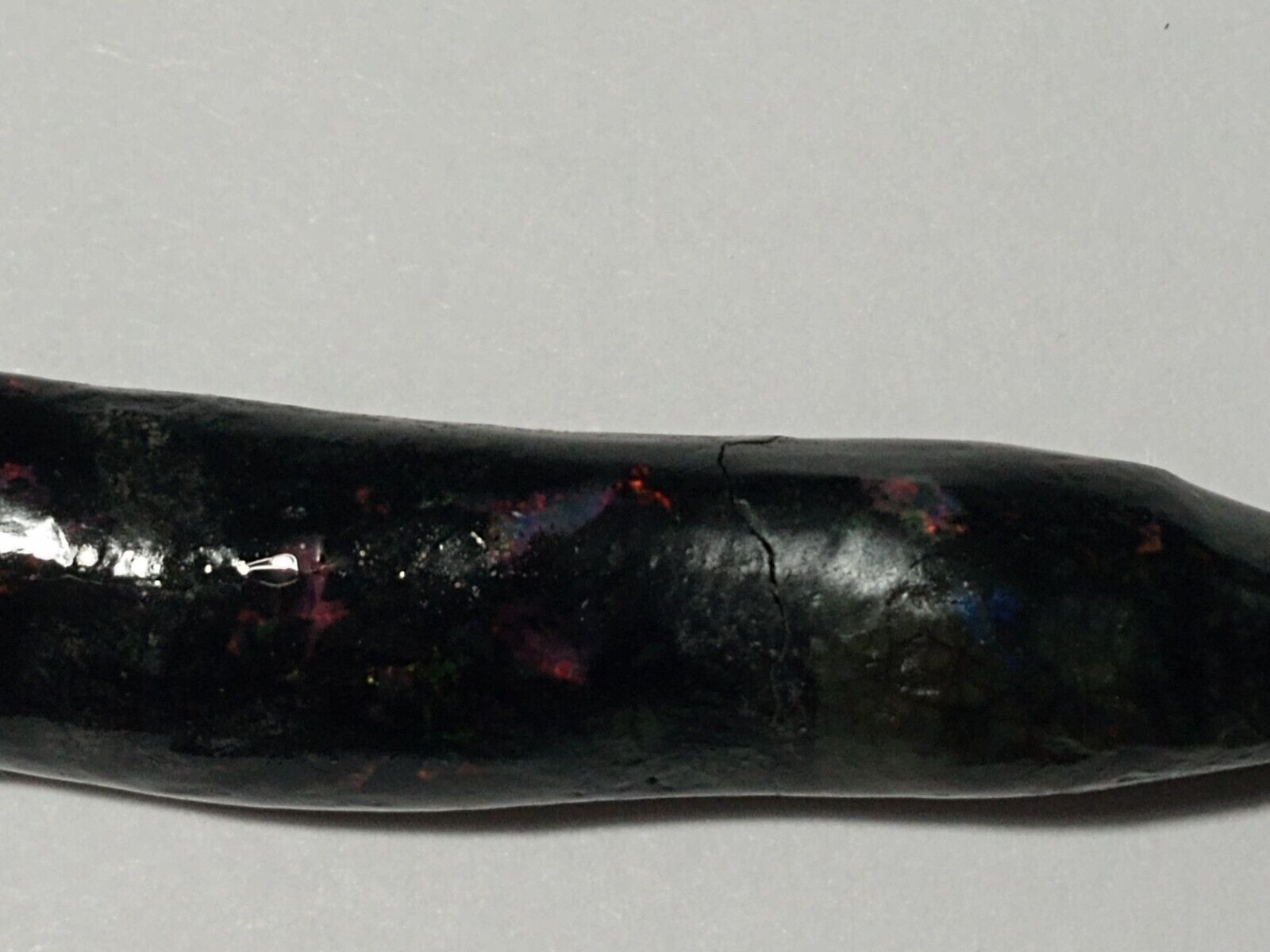 Rare Colorful Indonesian Wood Opal Fossil With Bright Red Flashes 33 ct