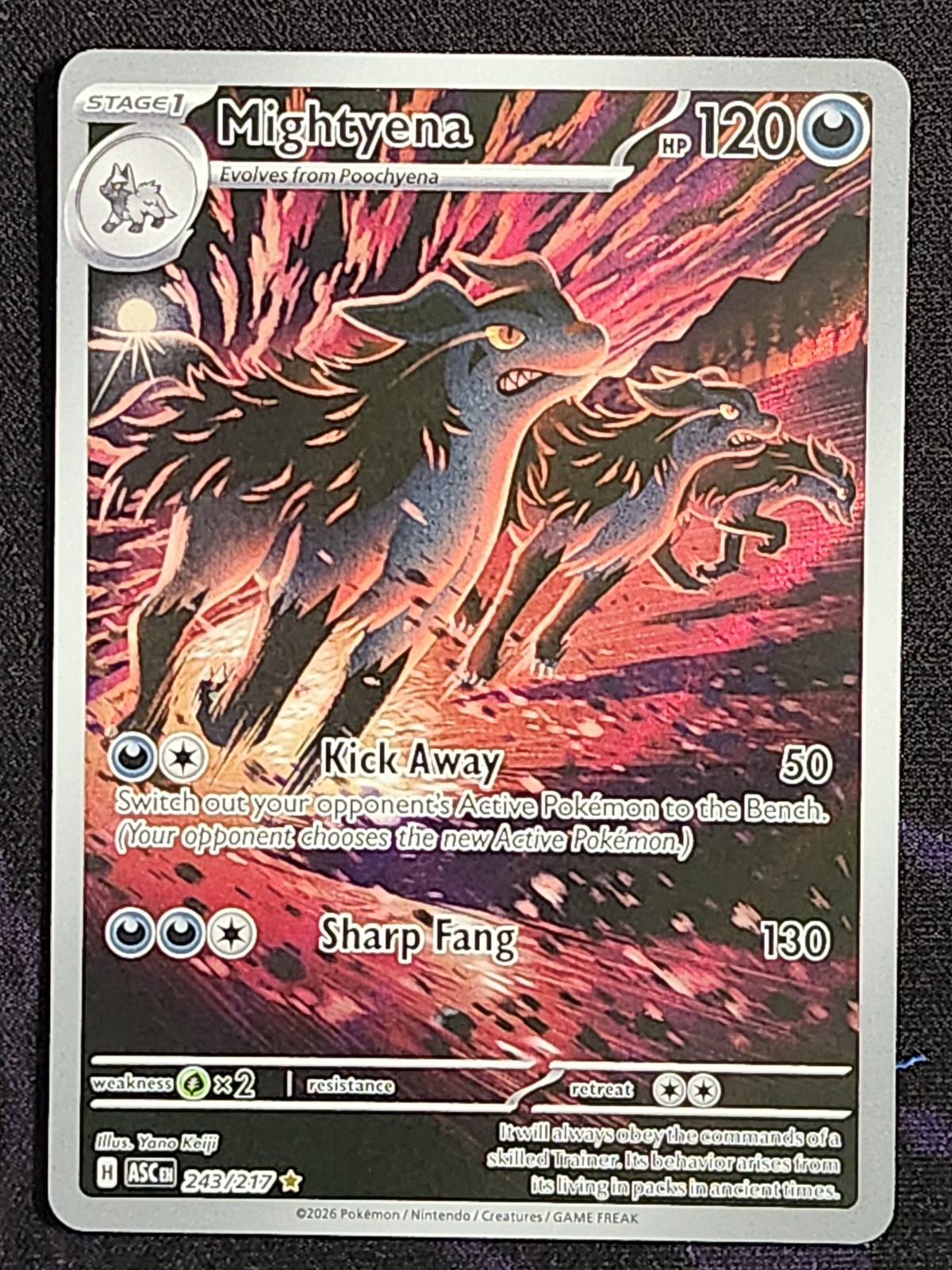 Pokemon Mightyena 243/217 Ascended Heroes ASC