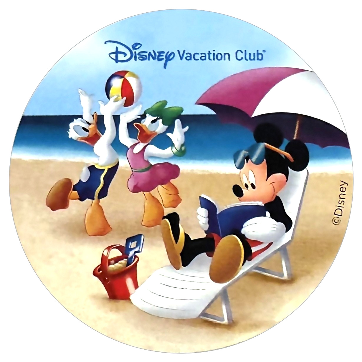 Mickey Mouse Donald Duck Daisy Duck Beach Sticker Disney World Vacation Club DVC