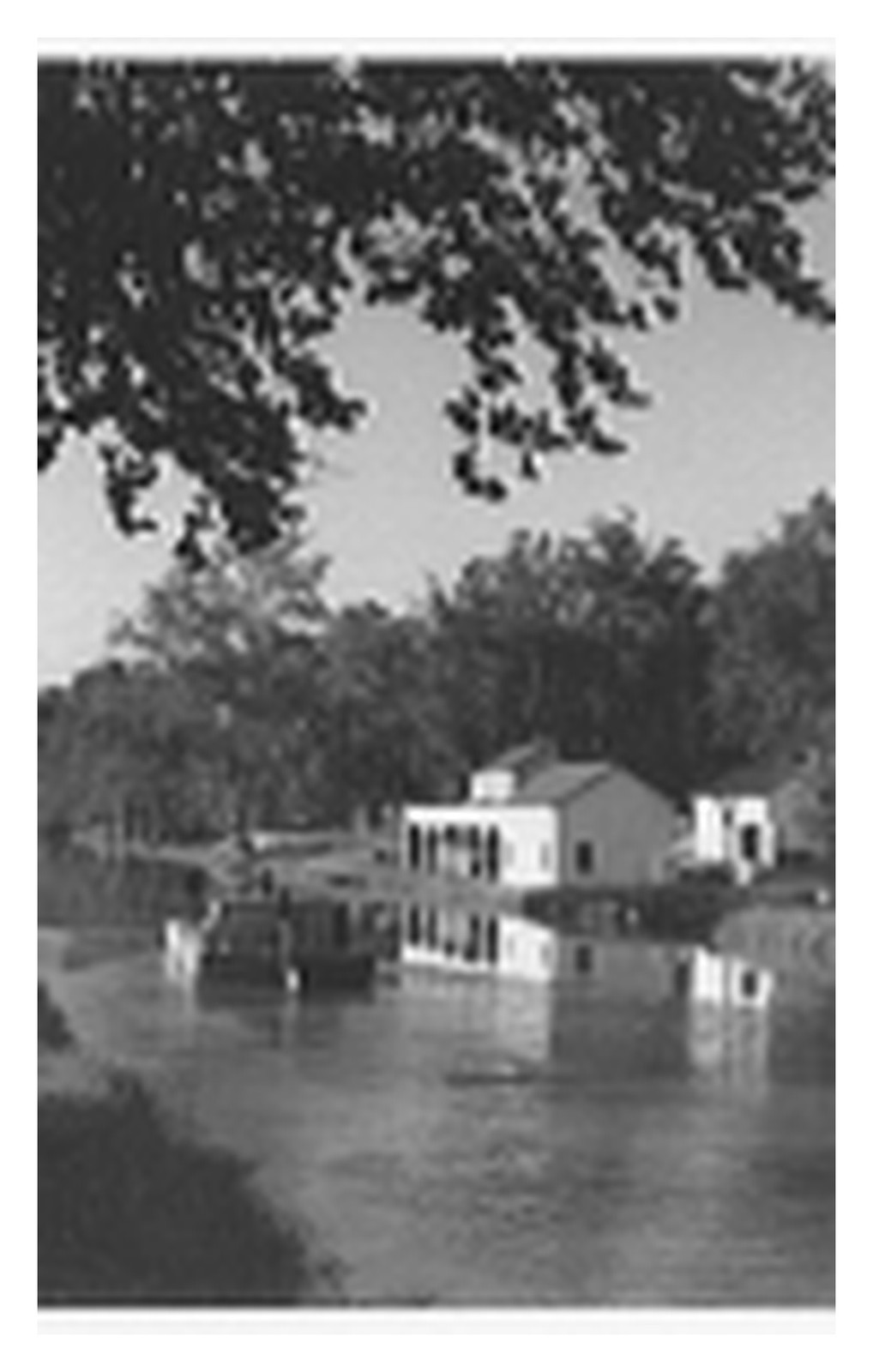 Washington C&O Canal Barge Standard Postcard
