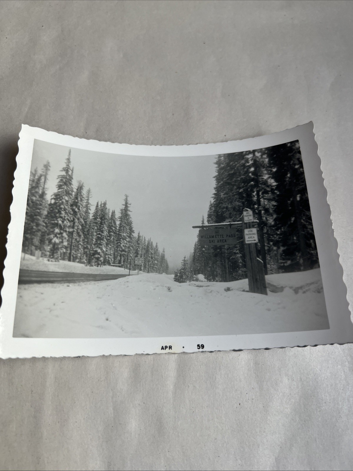 VTG 1959 Photo Willamette Pass Ski Street Sign  3.5\