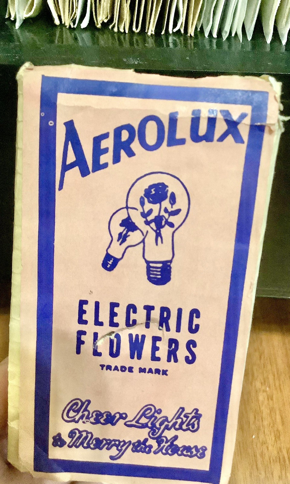 Vintage AeRoLuX Light BuLB FLoWeRs ELeCtRiC w BOX WoRKS CHeeR LighT DeCO GoTHiC Vintage AeRoLuX Light BuLB FLoWeRs ELeCtRiC w BOX WoRKS CHeeR LighT DeCO GoTHiC