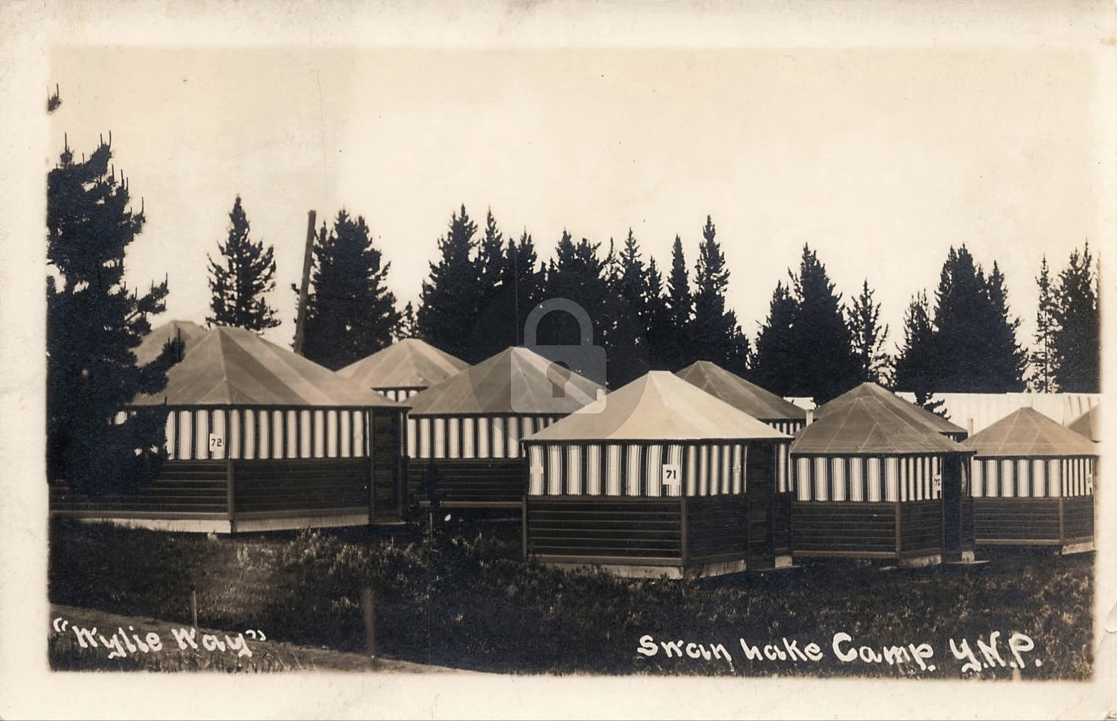 Yellowstone National Park Wylie's Way Swan Lake Camp 1914 RPPC Postcard COPY