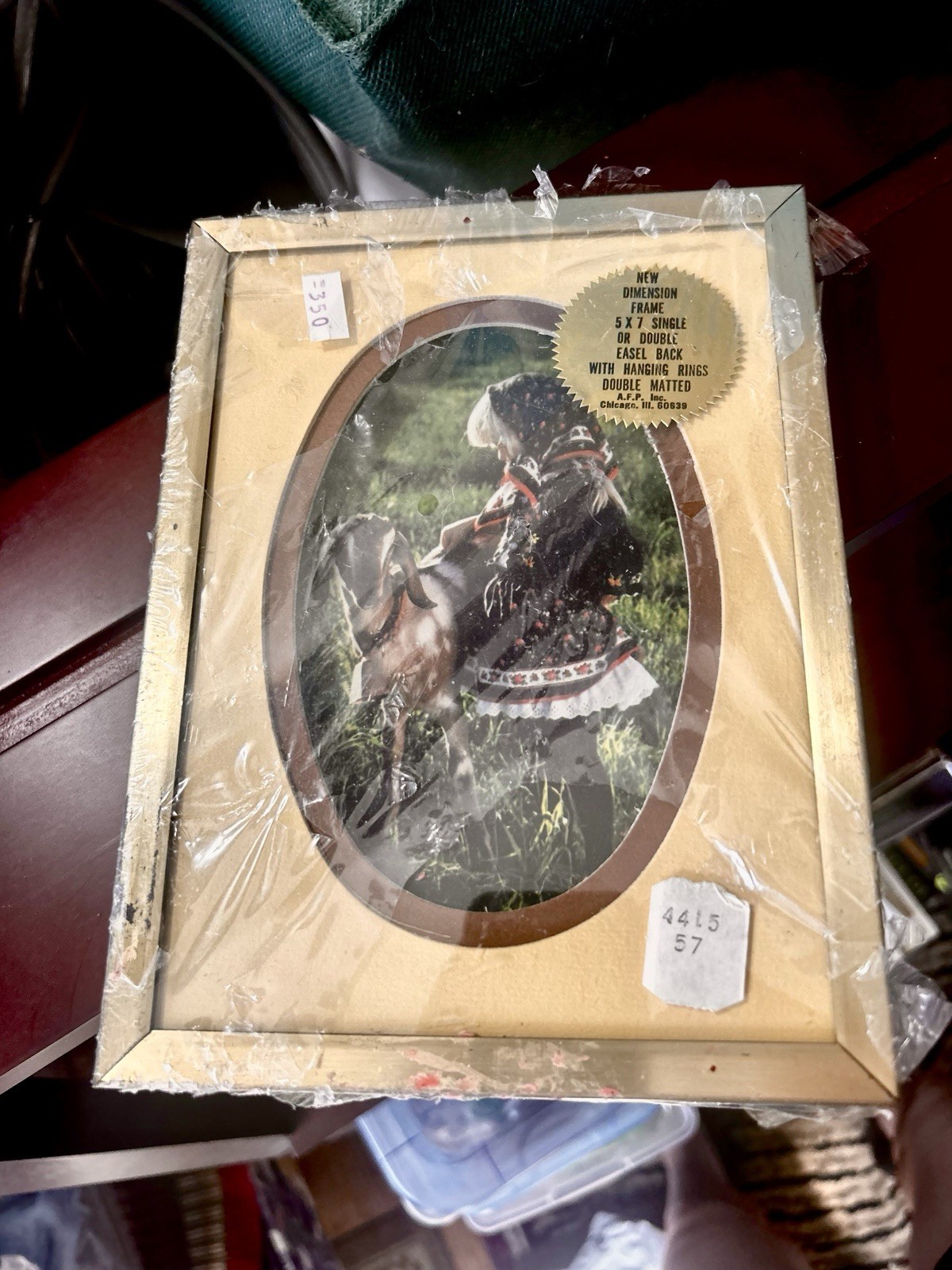 New Empress Vintage 3x4 Oval Picture Frame Gold Metal Cellophane