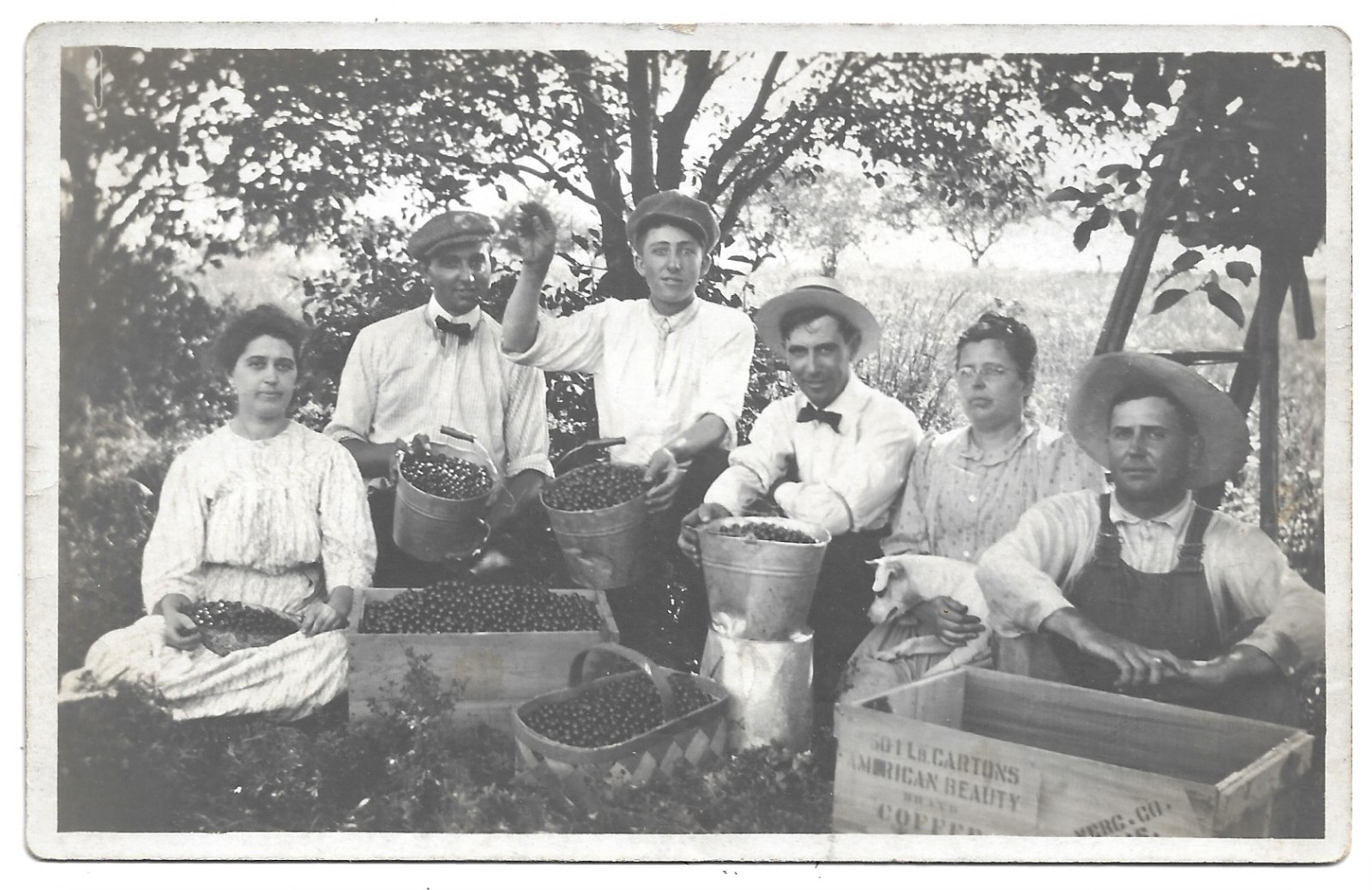 Group Picking Berries RPPC Photo Postcard Ontario Kansas 1910s