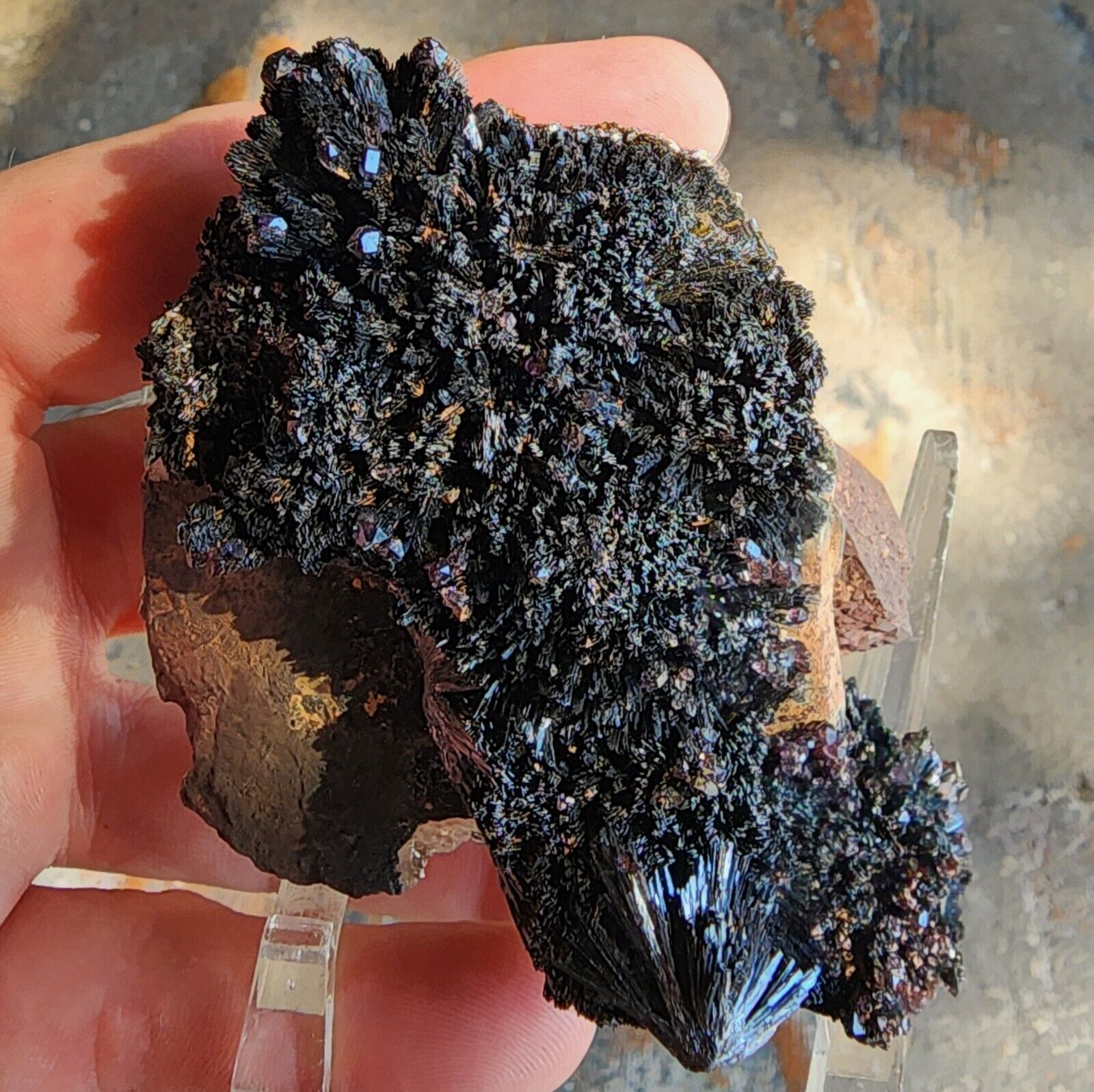 Goethite Smokey Quartz Amethyst Crystals with Onegite from Lake George Colorado 