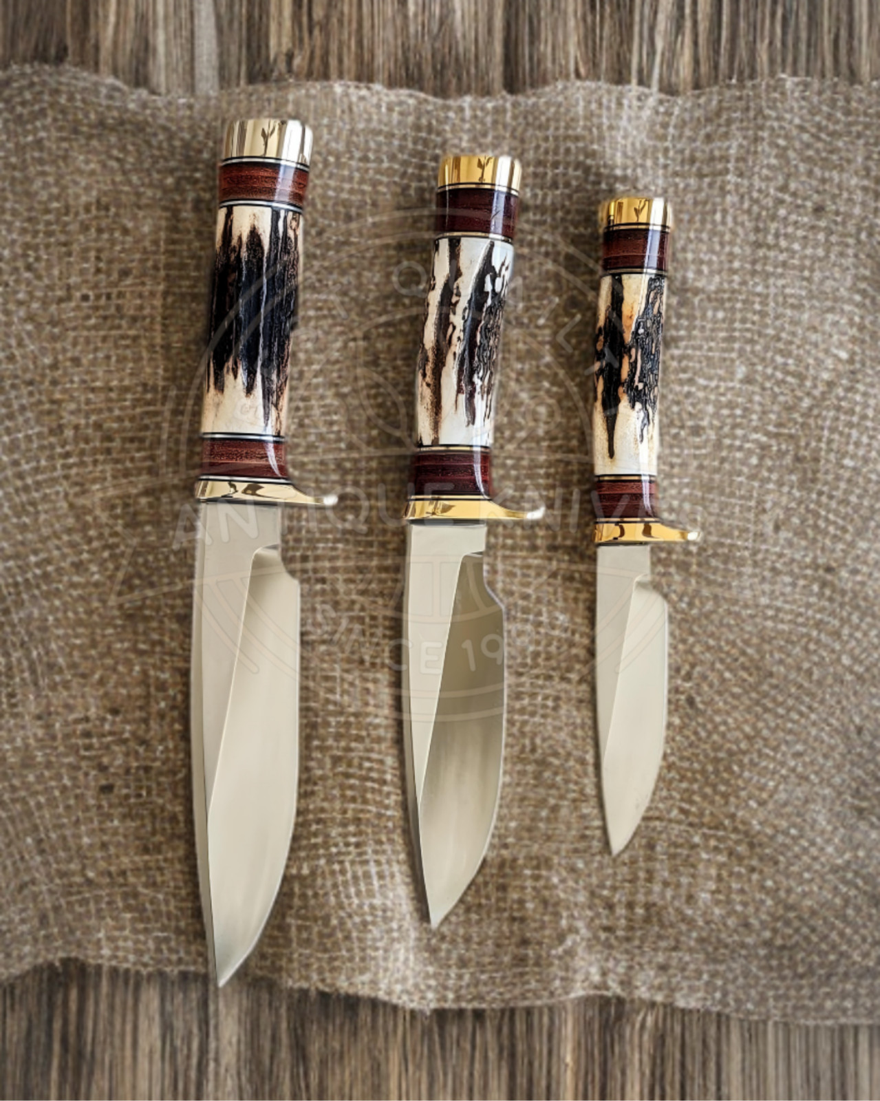 Lot of 3 Rare Randall TRAPPER Stag Pathfinder Knife Replica W/Sheath | Hunting