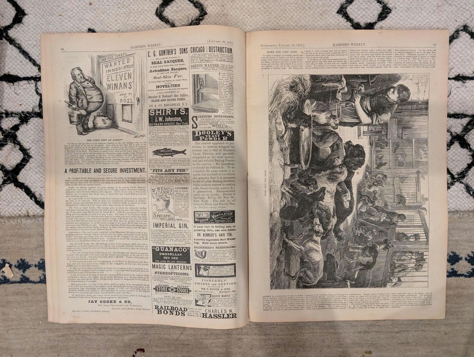 1872 James Fisk Harpers Weekly January 20 Home for Lost Dogs