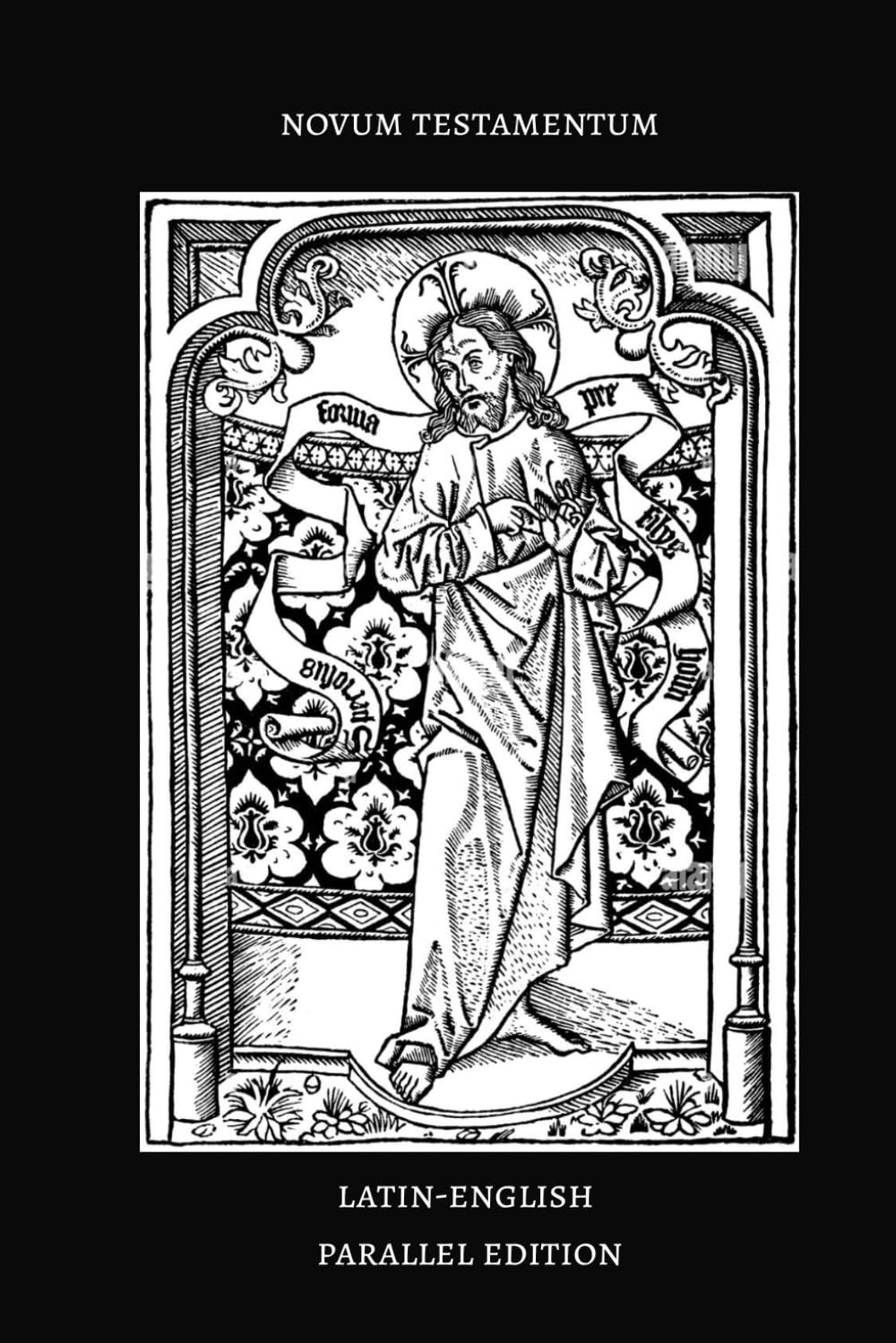 Latin-English Parallel New Testament: Douay-Rheims and Vulgate