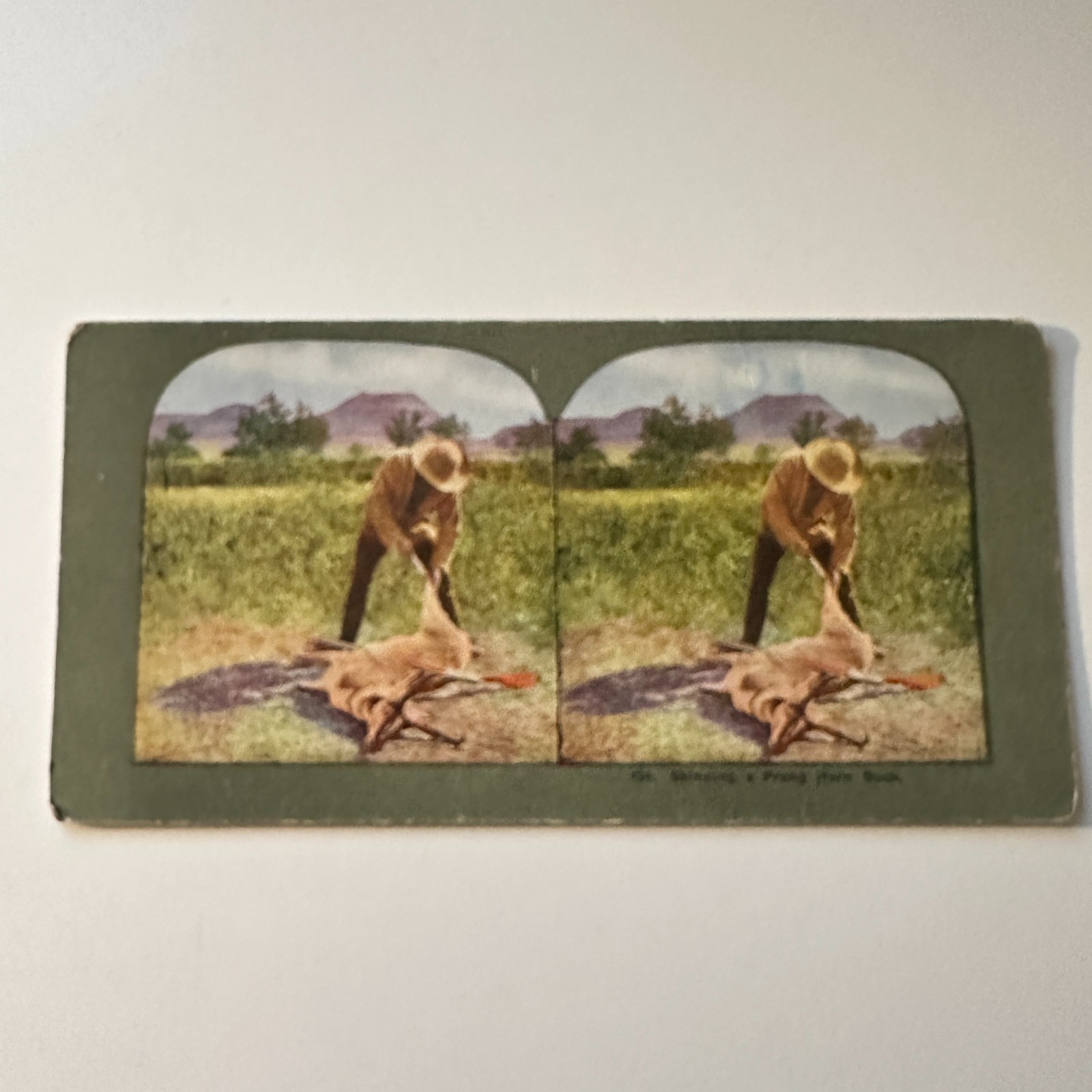 Skinning A Prong Horn Buck Western Custom Antique Stereoview Card 5H6-2