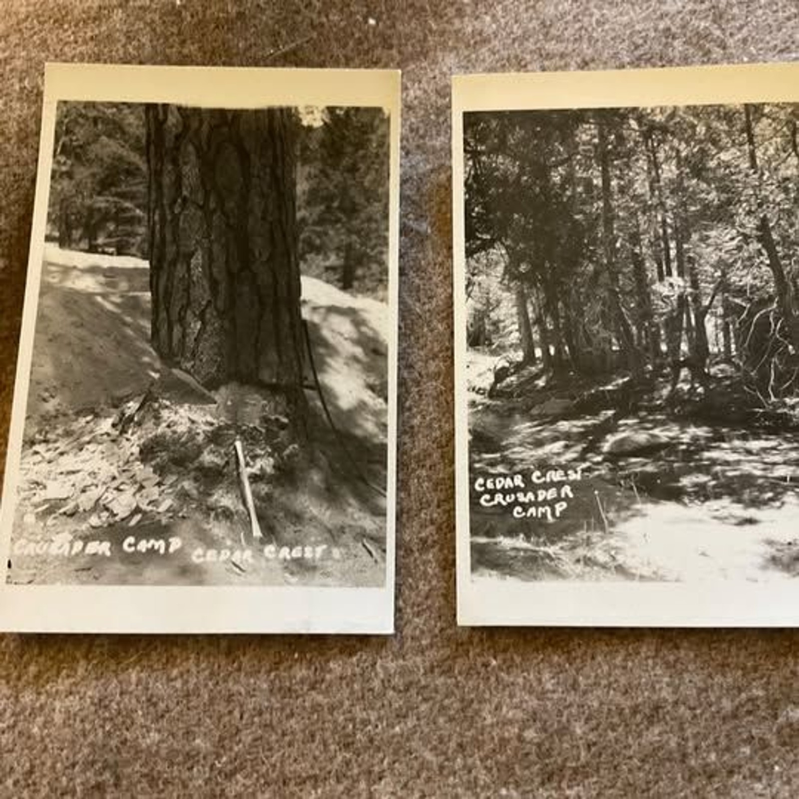 Lot of 4 RPPC 1920\'s Cedar Crest Crusader Camp California Vintage Unposted