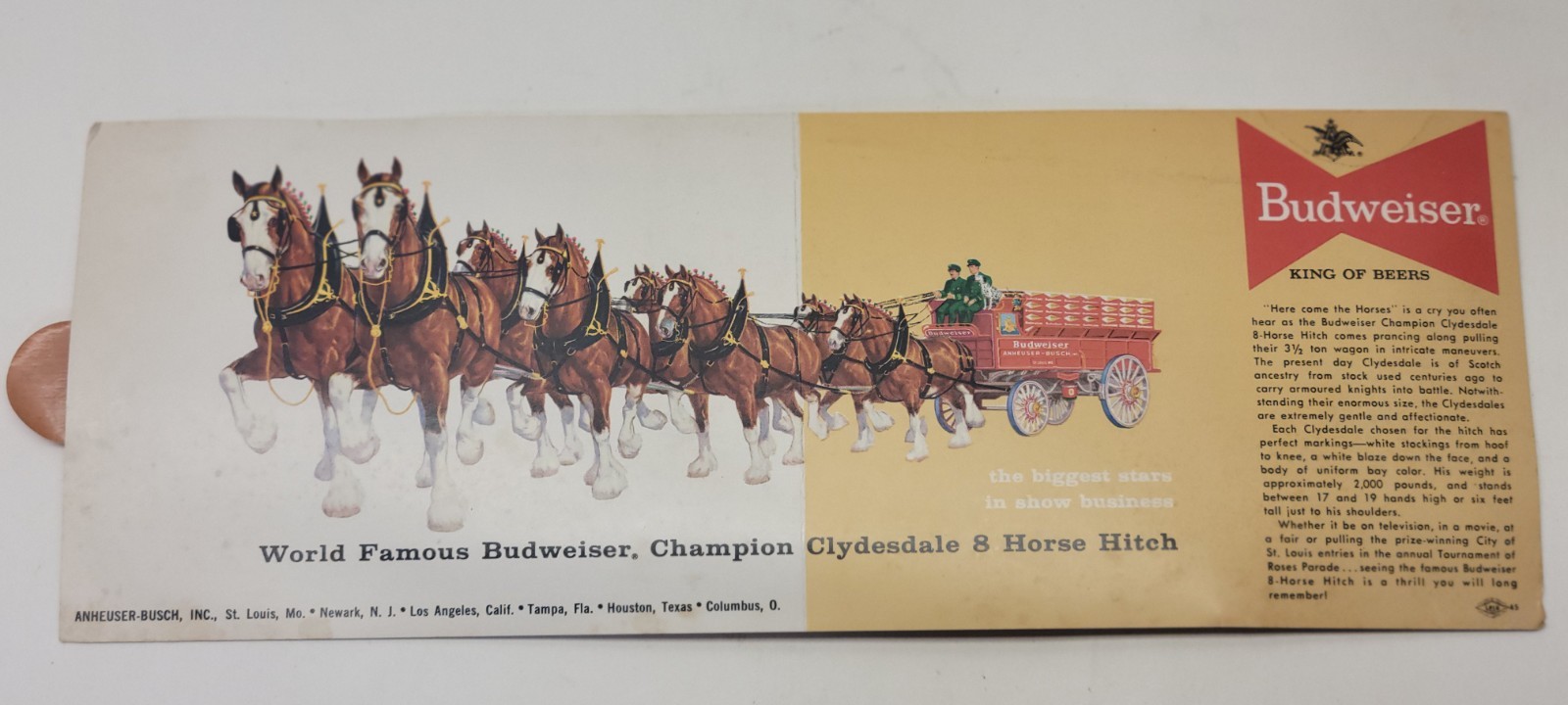 1954 Budweiser Advertising Mailer w/ Clydesdales Cleveland Ohio - Unused