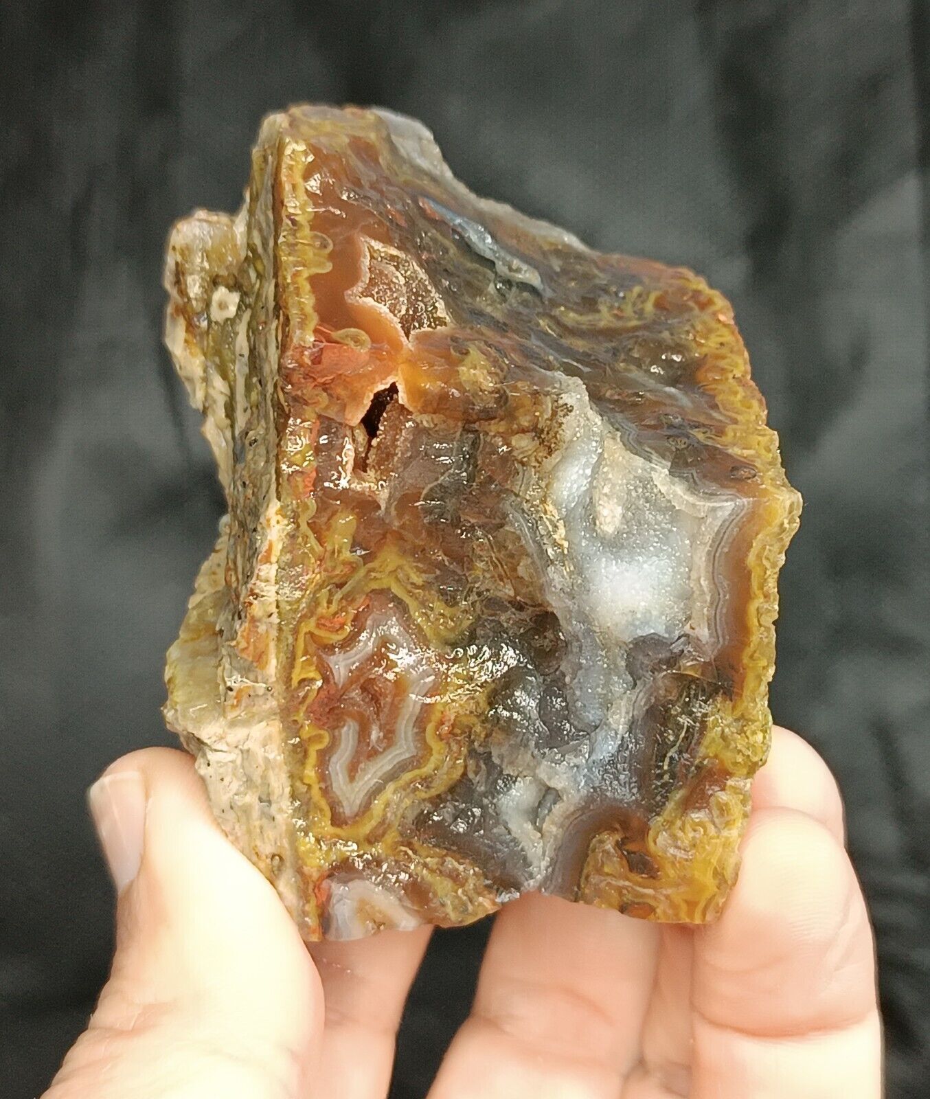 250g/0.55 lb uncut turkish banded agate stone rough,gemstone,rock,specimen