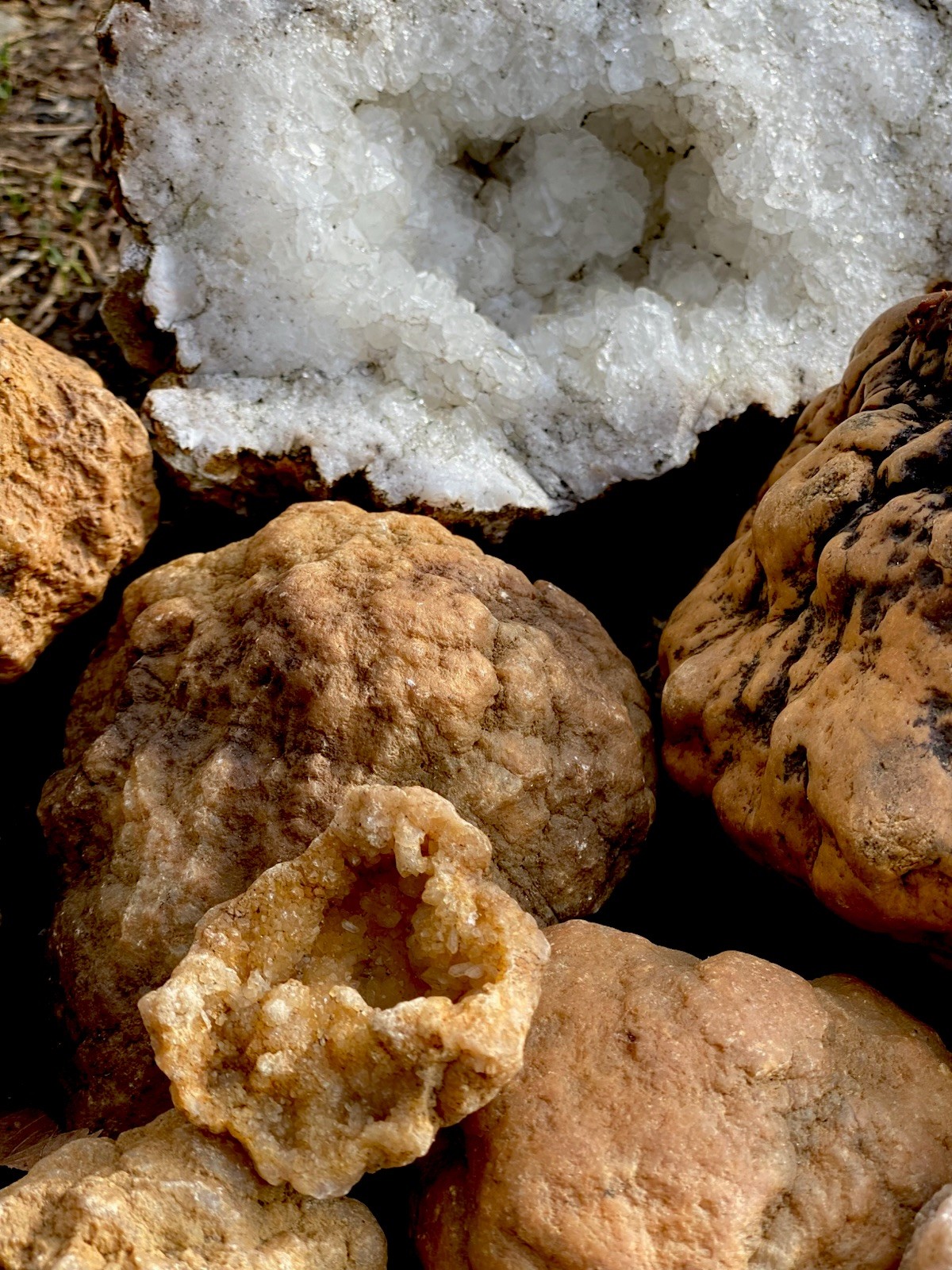 3 Natural Midwest Geodes – Crack Your Own +FREE Gift 🎁