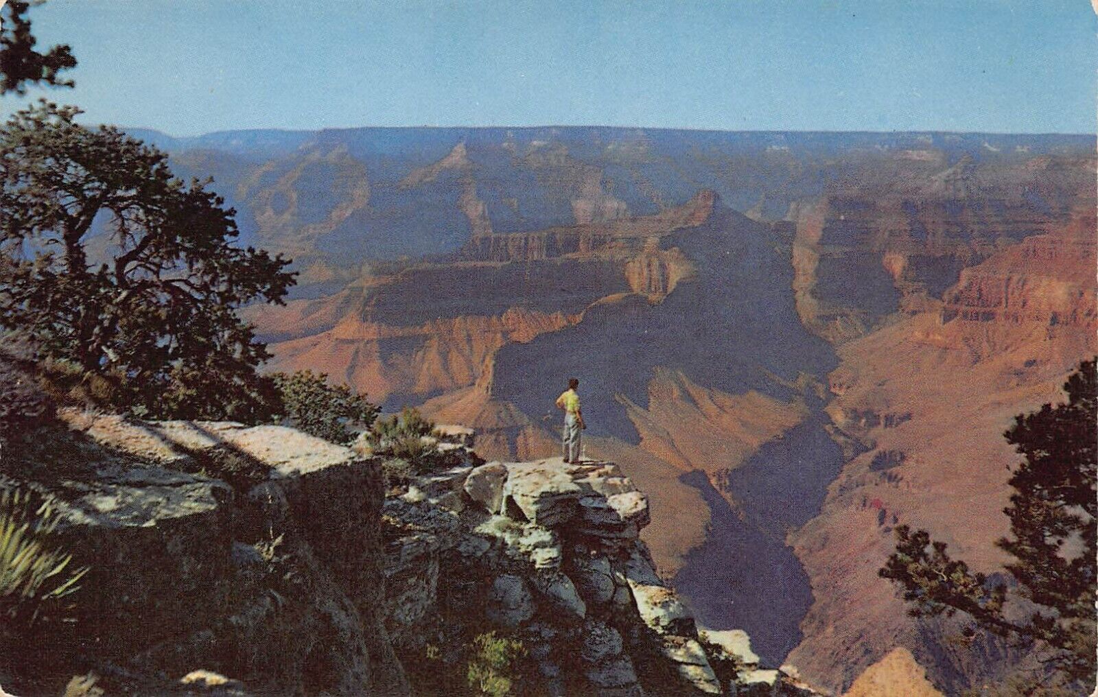 Grand Canyon AZ Arizona Pima Point Aerial View Fred Harvey 1950s Vtg Postcard K4