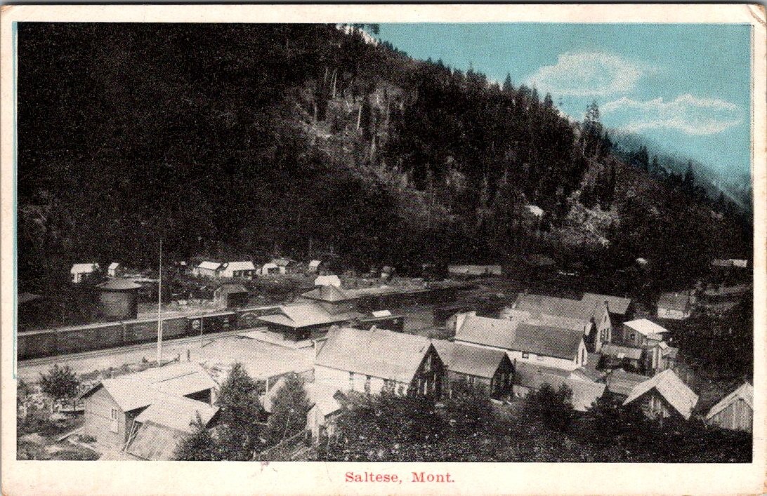 Antique Postcard Saltese Montana Houses Mountain Train