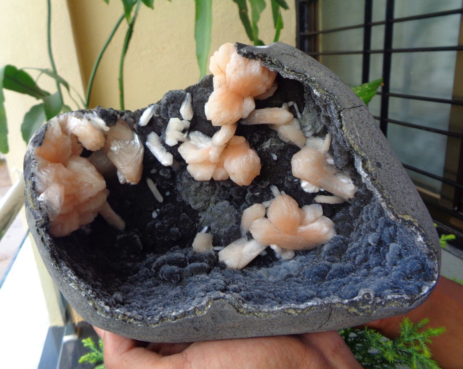 Stilbite w/ Chalcedony Coral In Geode Minerals Specimen #F16