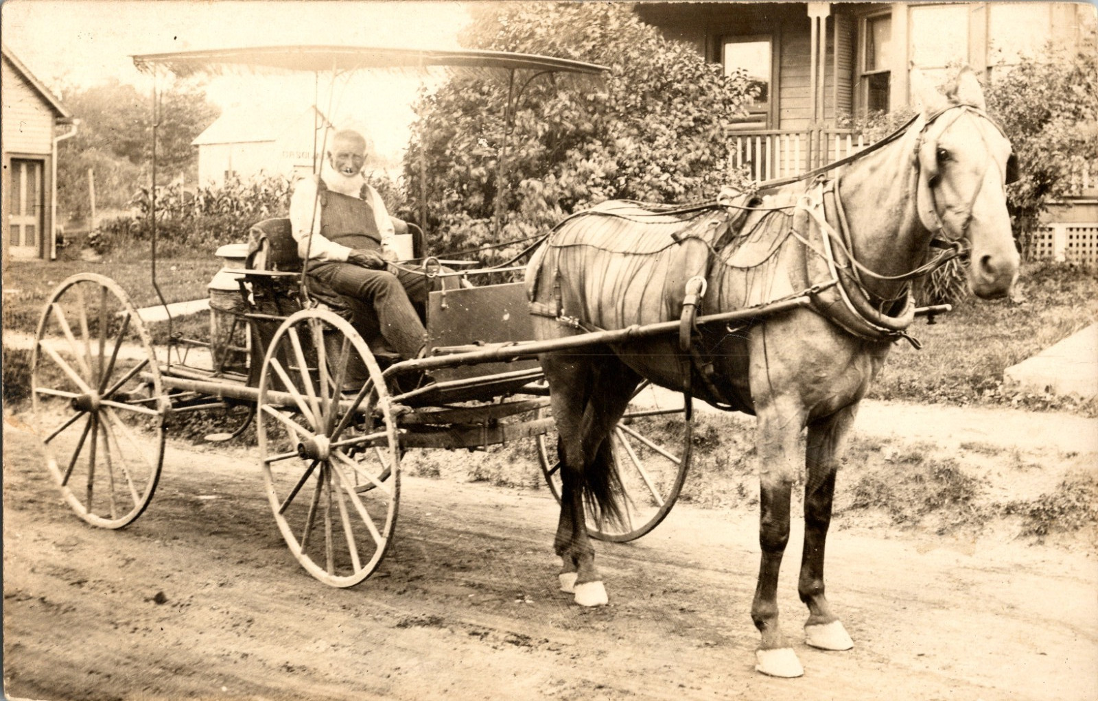 RPPC Hamilton Cox Identified Man Horse Buggy Carriage Antique Real Photo Card