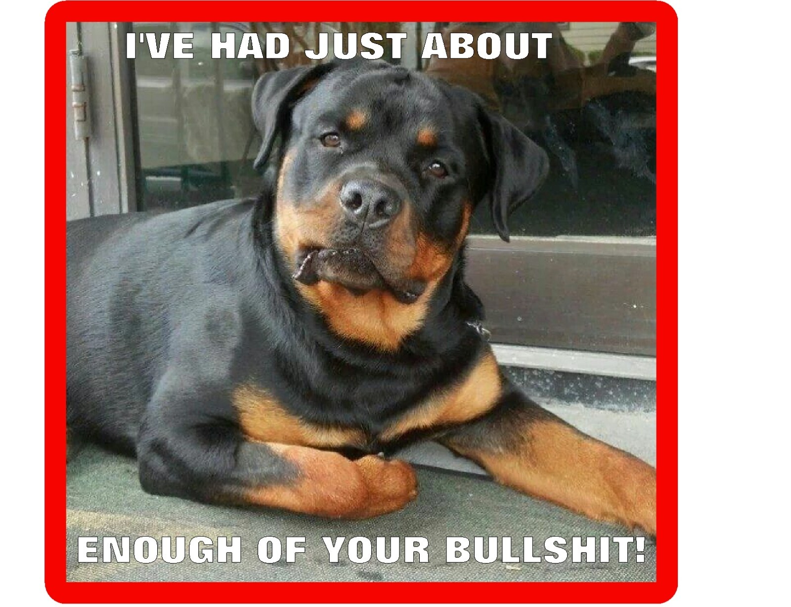 Funny Rottweiler Dog Had Enough BS  Refrigerator / Tool  Box  Magnet