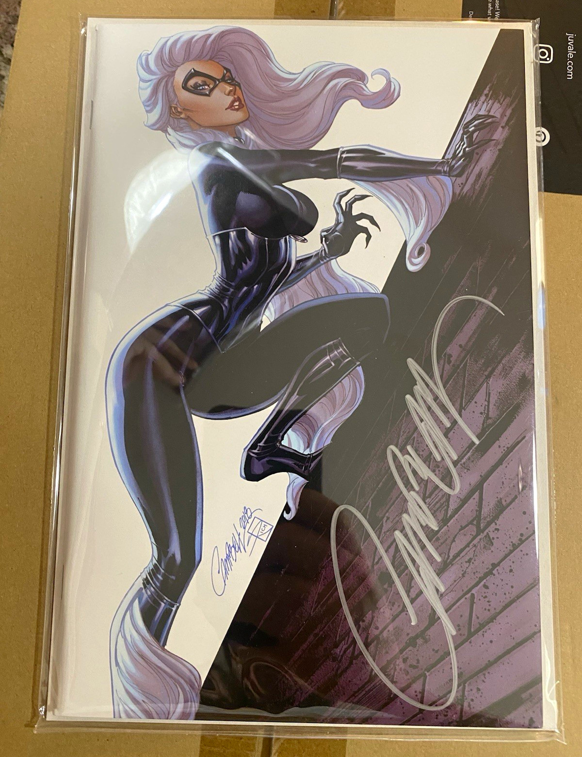 J. Scott Campbell Black Cat ASM #800 Virgin Settle Exclusive Auto COA 2018