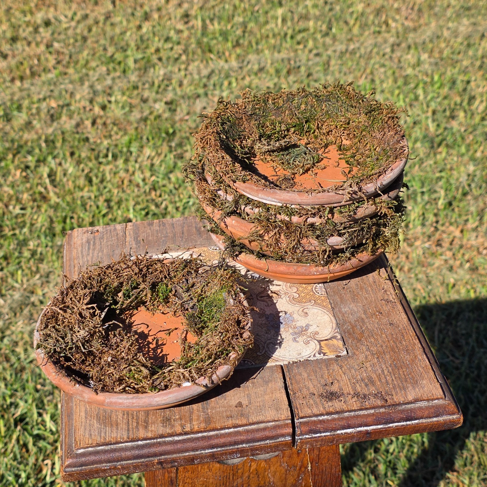Set of 5 DeRoma Terracotta Saucer 6.25\ Set of 5 DeRoma Terracotta Saucer 6.25\