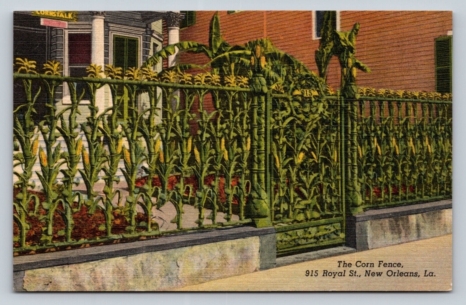 Vintage Postcard: New Orleans Louisiana LA Corn Fence 