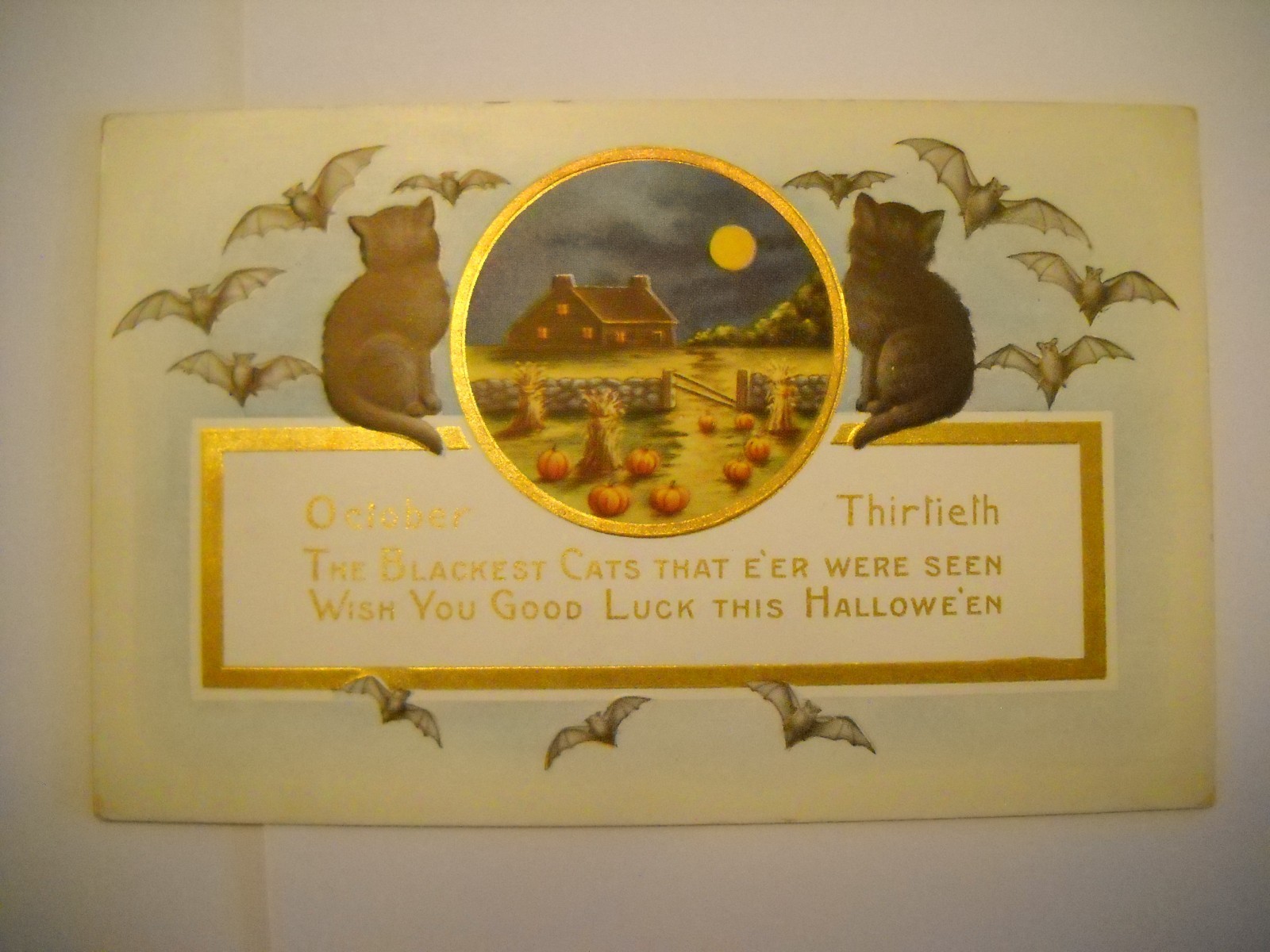 CATS WATCH BATS ON HALLOWEEN antique unused embossed postcard CHROMOLITHO gold