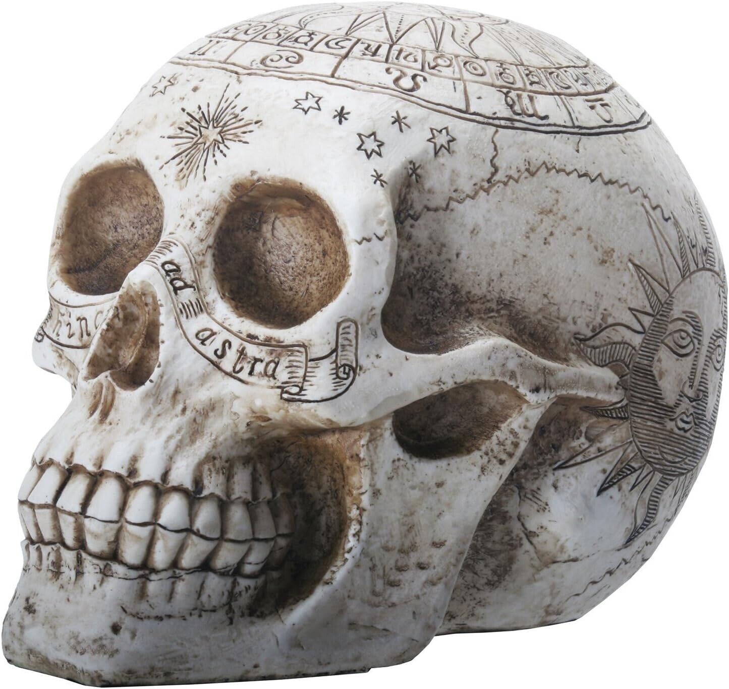 YTC 7.75 Inch Resin Skull with Astrology Engravings, White Colored