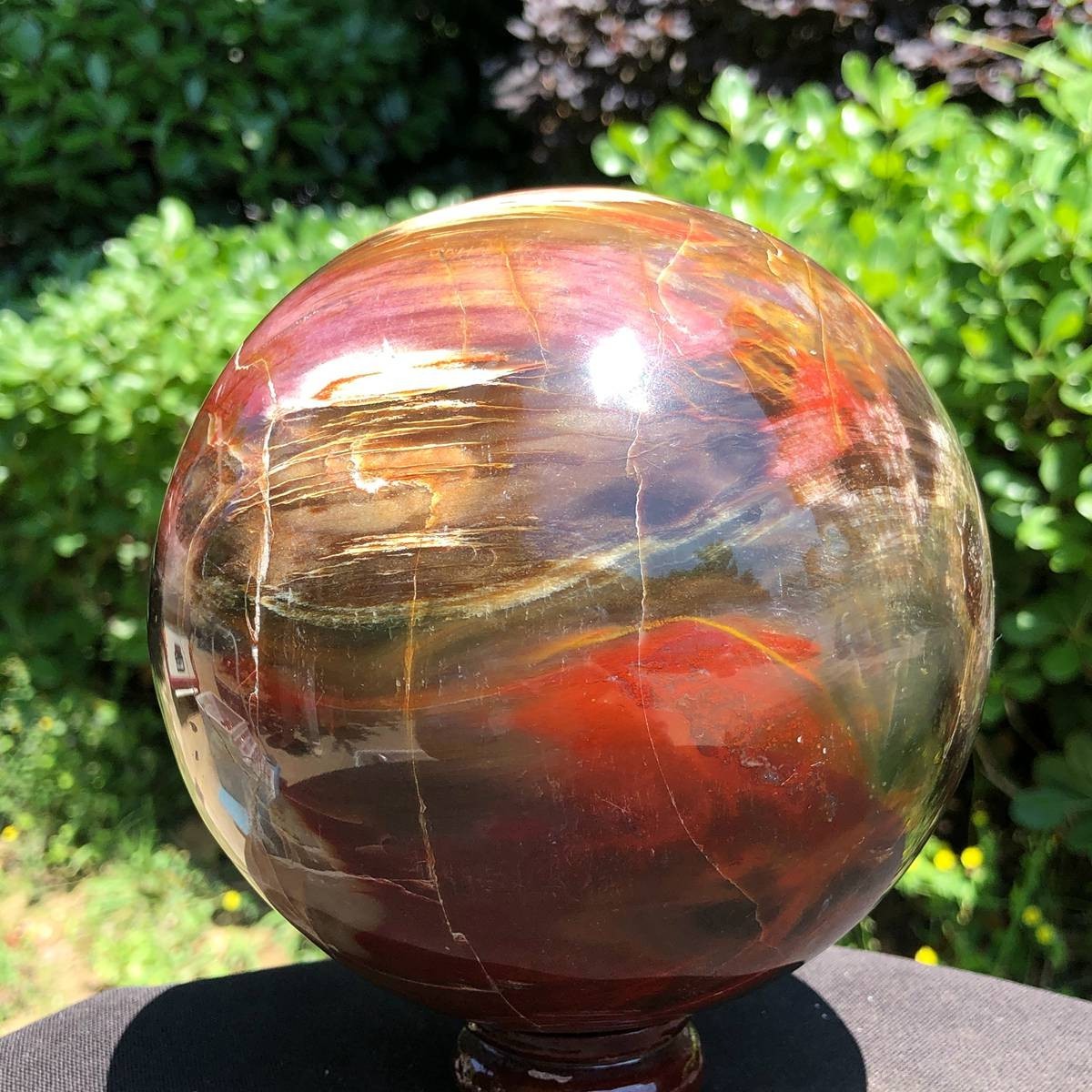 6.86LB Large Natural Petrified Wood Crystal Fossil ball Specimen Healing