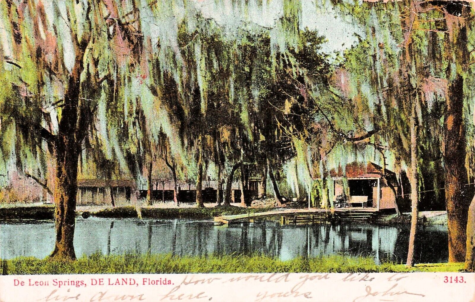 DeLand FL FLorida De Leon Springs State Park Vtg Postcard E16
