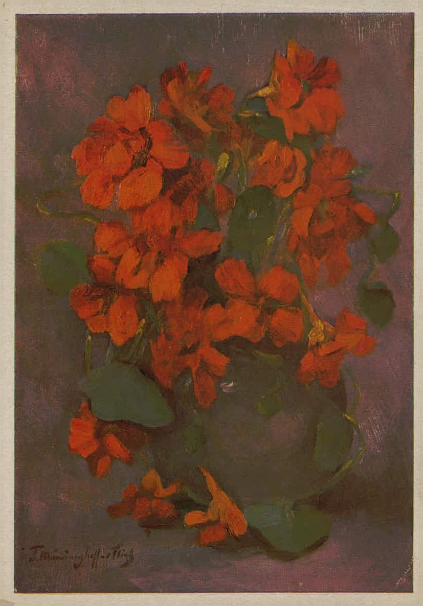 Vintage Dutch Flower Series Art Postcard T. Münninghoff-van Vliet Nasturtiums Va