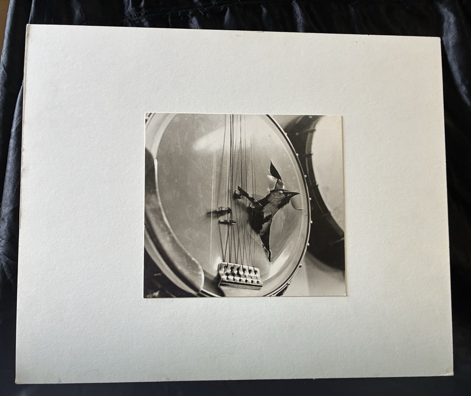 Bird in Banjo UCLA Vintage B&W Print Neal White 1969 Gelatin Silver Photo