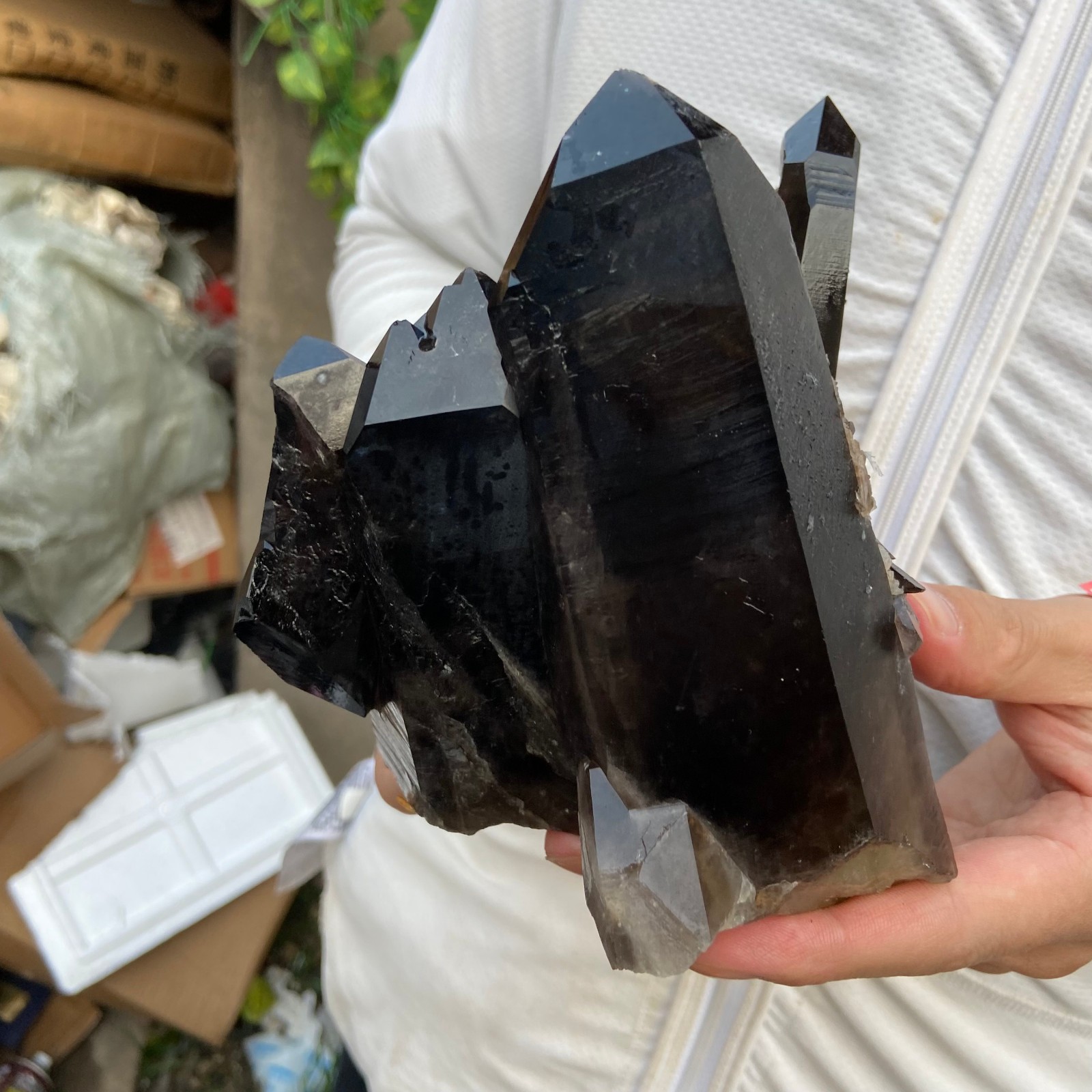 3.8lb Natural Smoky Black Quartz Crystal Cluster Raw Mineral Specimen healing