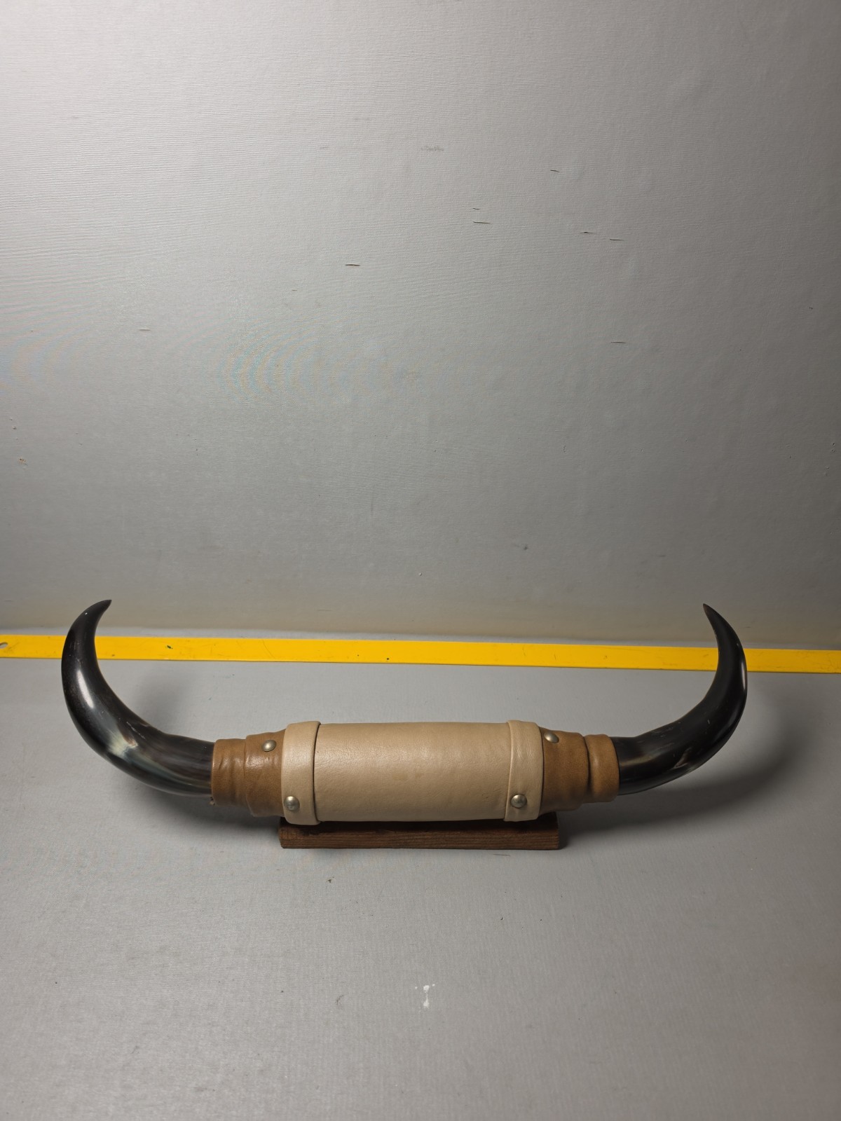 Vintage Mounted Steer Horns 20\